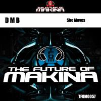 Artwork for She Moves by D_M_B