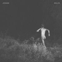 Artwork for Wilds by Johan