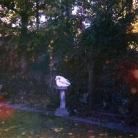 Artwork for Yuk Foo by Wolf Alice
