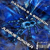 Artwork for Junkie Spider by Darren G