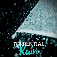 Artwork for Torrential Rain by Rain Sounds Nature Collection