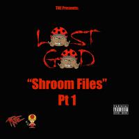 Artwork for Shroom Files, Pt. 1 by Lost God