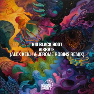 Artwork for Vibrate (Alex Kenji & Jerome Robins Remix)