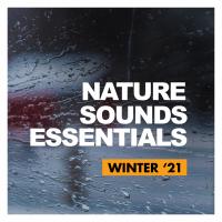 Artwork for Nature Sounds Essentials by Sounds Of Nature