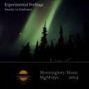 Artwork for Beauty In Darkness (Original Mix)