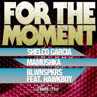 Artwork for For The Moment (feat. HawkBoy) by Shelco Garcia