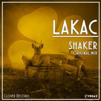 Artwork for Shaker by LAKAC