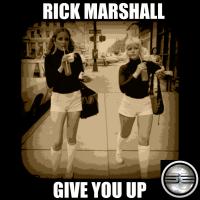 Artwork for Give You Up by Rick Marshall