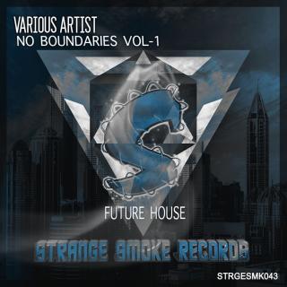 Artwork for Big Fat Bass (Original Mix)