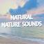 Artwork for Waves : Nature Sounds from the Ocean