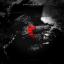 Artwork for Red Forest (Original Mix)