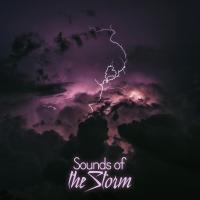 Artwork for Sounds of the Storm by Rain Sounds