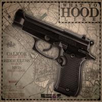 Artwork for What Yo Hood Like (feat. Bris & Riddiculuss) by Calicoe