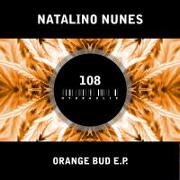 Artwork for Orange Bud E.P. by Natalino Nunes