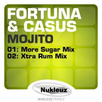 Artwork for Mojito by Fortuna & Casus