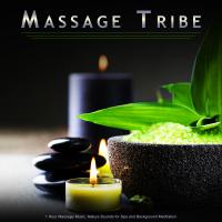 Artwork for Massage Tribe: 1 Hour Massage Music, Nature Sounds for Spa and Background Meditation by Massage Tribe