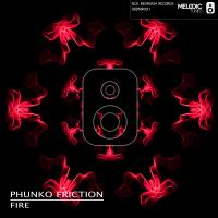 Artwork for Fire by Phunko Friction