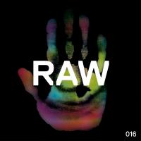 Artwork for Raw 016 by Rob Hes