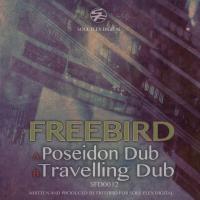 Artwork for Poseidon Dub / Travelling Dub by Freebird