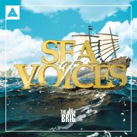 Artwork for Sea of Voices by The Brig