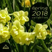 Artwork for Spring 2018 Collection by Various Artists