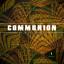 Artwork for Communion