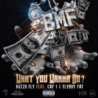 Artwork for What You Wanna Do? (feat. Cap 1 & Flyboy Pat) by Kuzzo fly