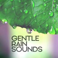 Artwork for Gentle Rain Sounds by Rain Sounds