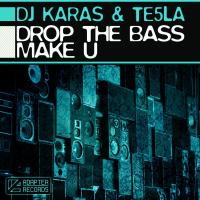 Artwork for Drop The Bass by Dj Karas