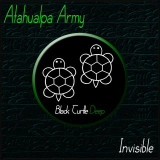 Artwork for Invisible
