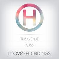 Artwork for Haussh by Tribavenue