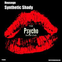 Artwork for Synthetic Shady by Housego