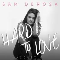 Artwork for Hard to Love by Sam DeRosa