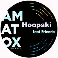 Artwork for Lost Friends by Hoopski