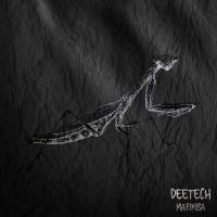 Artwork for Marimba by Deetech