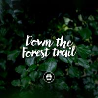 Artwork for Down The Forest Trail by Nature Sounds Nature Music