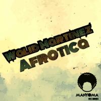 Artwork for Afrotica by Walid Martinez