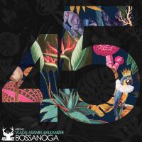 Artwork for BossaNoga by Vlada Asanin