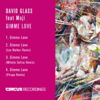 Artwork for Gimme Love by David Glass