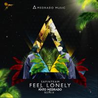 Artwork for Feel Lonely (Nato Medrado Remix) by Nato Medrado