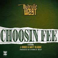 Artwork for Choosin' Fee (feat. J-Diggs & Matt Blaque) by Hydrolic West