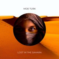 Artwork for Lost In The Sahara by Moe Turk