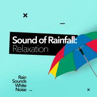 Artwork for Sound Of Rainfall: Relaxation by Rain Sounds