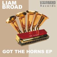 Artwork for Got The Horns EP by Liam Broad