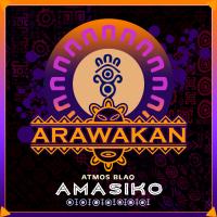 Artwork for Amasiko by Atmos Blaq