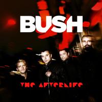 Artwork for The Afterlife (Radio Edit) by Bush