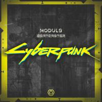 Artwork for Cyberpunk by Modul8