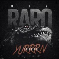Artwork for Muy Raro by Yurrrn