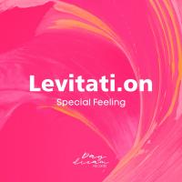 Artwork for Special Feeling by Levitati.on