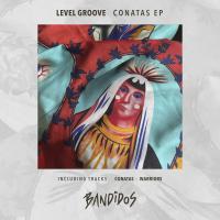 Artwork for Conatas EP by Level Groove